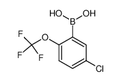 [5-氯-2-(三氟甲氧基)苯基]硼酸