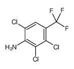 2，3，6-三氯-4-(三氟甲基)苯胺