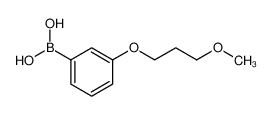 (3-(3-甲氧基丙氧基)苯基)硼酸