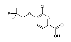6-氯-5-(2,2,2-三氟乙氧基)吡啶-2-甲酸