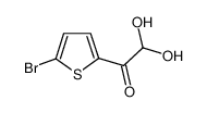 1-(5-溴-2-噻吩)2，2-二羟基乙酮