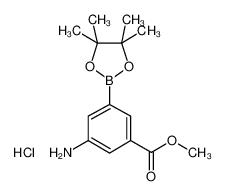 3-氨基-5-甲氧羰基苯基硼酸频哪醇酯盐酸盐