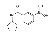 3-(环戊基甲酰氨)苯基硼酸