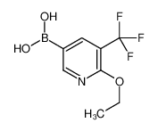 6-乙氧基-5-三氟甲基吡啶-3-硼酸