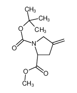 (s)-1-(叔丁氧基羰基)-2-甲基-4-亚甲基吡咯烷-2-羧酸