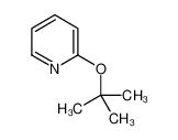 2-(叔丁氧基)吡啶
