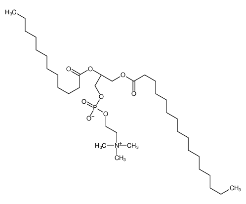 1-Palmitoyl-2-lauroyl-sn-glycero-3-PC
