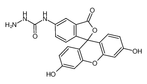 荧光素-5-氨基硫脲
