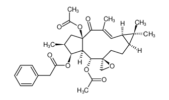 大戟因子L1