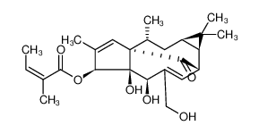 巨大戟醇甲基丁烯酸酯