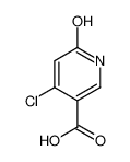 4-氯-6-羟基烟酸