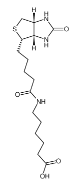 6-生物素氨基己酸