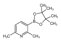2，6-二甲基吡啶-3-硼酸频那醇酯