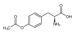 O-乙酰基-L-酪氨酸
