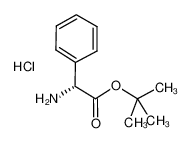 (R)-2-氨基-2-苯基乙酸叔丁酯