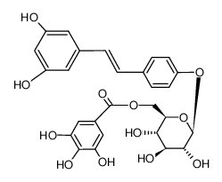 白藜芦醇-4'-O-β-D-(6''-O-没食子酰)葡萄糖苷