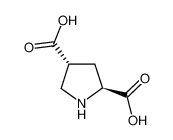 L-反式-吡咯烷-2，4-二羧酸