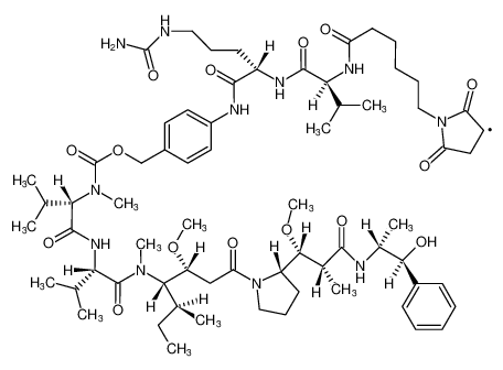 VcMMAE