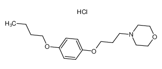 盐酸普莫卡因