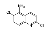 2，6-二氯-5-氨基喹啉