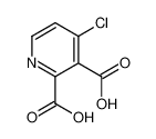 4-氯-2,3-吡啶二羧酸