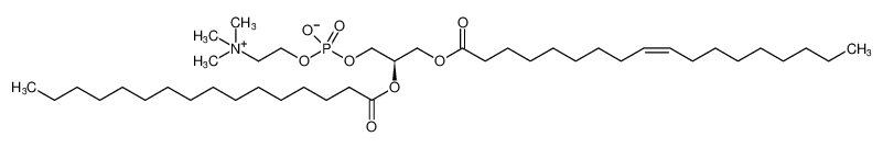 1-油酰基-2-棕榈酰基磷脂酰胆碱