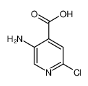 5-氨基-2-氯吡啶-4-甲酸