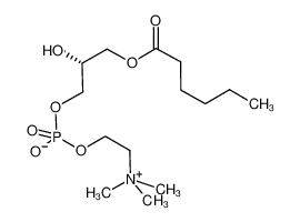 1-己酰基-2-羟基-sn-甘油-3-磷酸胆碱