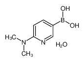 2-(二甲基氨基)吡啶-5-硼酸