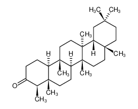 木栓酮