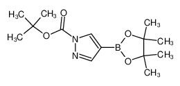 1-Boc-吡唑-4-硼酸频哪醇酯
