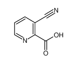 3-氰基吡啶-2-甲酸