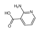 2-氨基烟酸