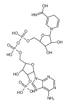 还原型辅酶II(NADPH)四钠盐