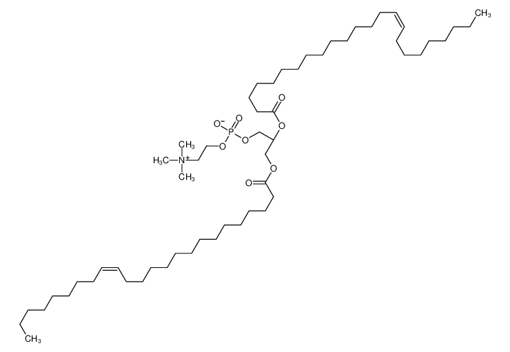 1,2-dinervonoyl-sn-glycero-3-phosphocholine