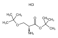 H-SER(TBU)-OTBU HCL