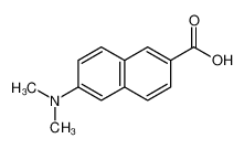 6-(二甲氨基)-2-萘甲酸