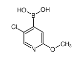 5-氯-2-甲氧基-4-吡啶硼酸
