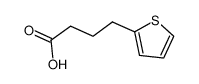 4-(2-噻吩)-丁酸