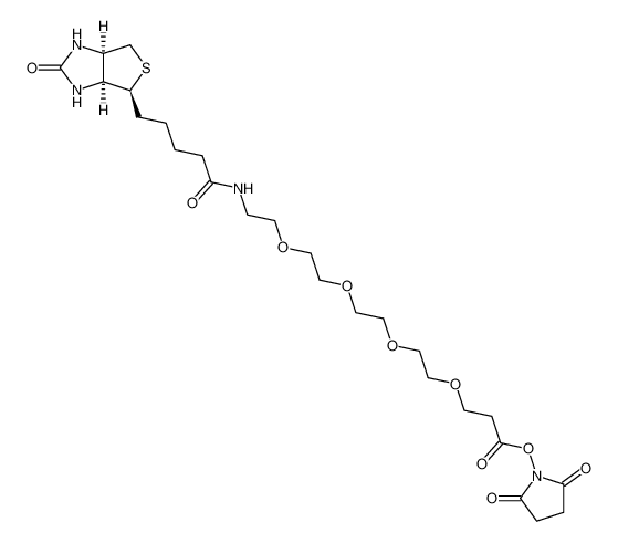 15-BiotinlaMino-4,7,10,13-dioxanonanoic acid N-hydroxysucciniMidyl ester