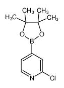 2-氯-吡啶-4-硼酸频哪醇酯