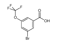 3-溴-5-(三氟甲氧基)苯甲酸