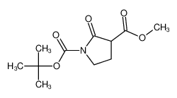 1-Boc-2-氧代吡咯烷-3-甲酸甲酯