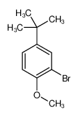 2-溴-4-叔丁基 1-甲氧基苯