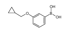3-环丙甲氧基苯硼酸