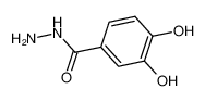 3,4-二羟基苯酰肼