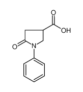 5-氧代-1-苯基吡咯烷-3-羧酸