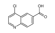 4-氯喹啉-6-羧酸
