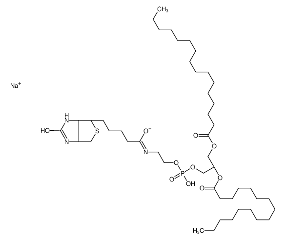 1,2-二棕榈酰基-sn-甘油-3-磷酸乙醇胺-N-(生物素)(钠盐)
