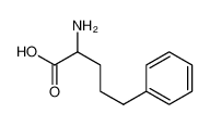 (R)-2-氨基-5-苯基戊酸